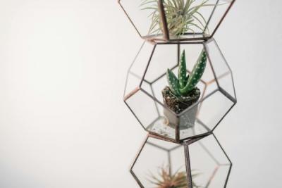 Creative Ideas for Displaying Plants with Flower Pots and Hanging Plant Holders