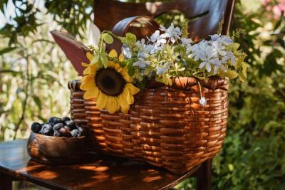 Top Trends in Lawn and Patio Furniture and Accessories for a Stylish Outdoor Space